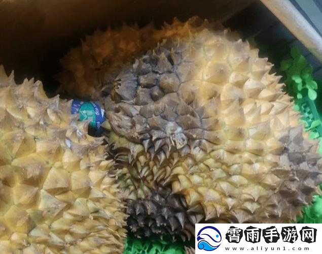 榴莲视频色斑让你流连忘返app画质超高超惊艳