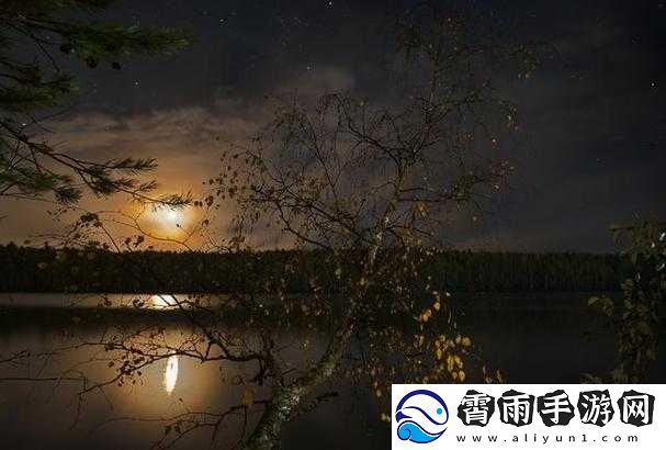 适合凌晨三四点看的片
