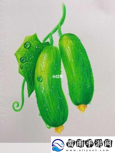 黄瓜的视频画画的图片-1.-清新夏日：黄瓜的多样魅力探索