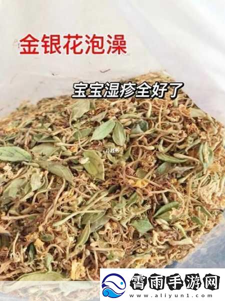 小尾巴TXT金银花原文及其影响终于不再限制-当然可以！以下是一些基于小尾巴TXT金银花的新标题建议：