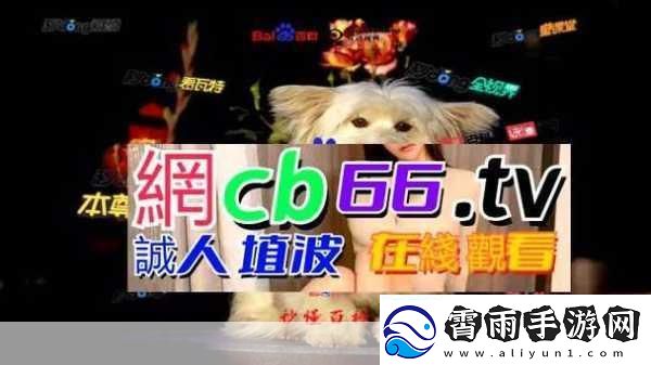 成品源码78w78独特功能-1.-成品源码78w78：开启全新功能拓展之旅