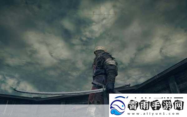 艾尔登法环双手持刀秘籍解锁战斗新姿势