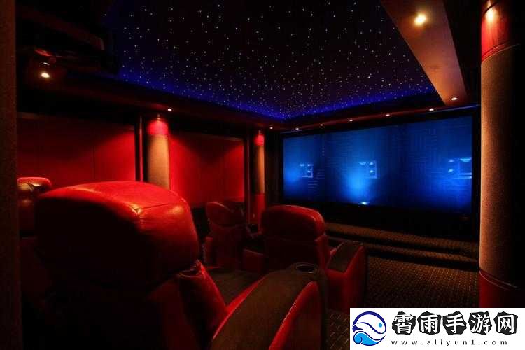 私人家庭影院-3355：思维飞跃的极致体验