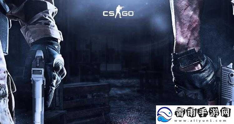 高清大片-csgo-类型多多-平台：震撼视觉体验