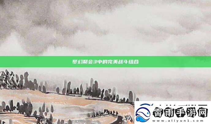 梦幻聚会3中的完美战斗组合