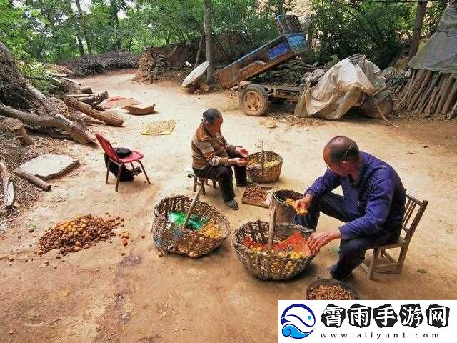 儿子耕种母亲田：家庭亲情的耕耘