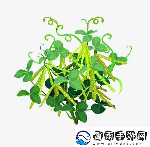 4399豌豆荚逗趣解码狂想曲