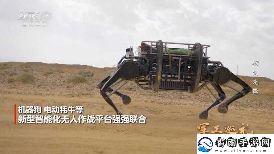 人狗大战-Java-代码曝光：震惊全的秘密