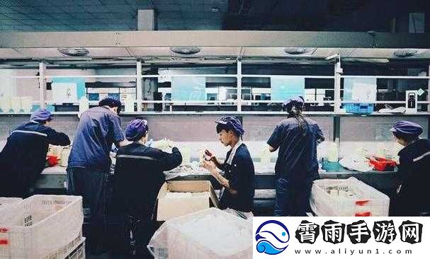 成品人：流水线生产的普通人-缺乏个性和创造力；精品人：具有独特个性和创造力的人-注重品质和细节
