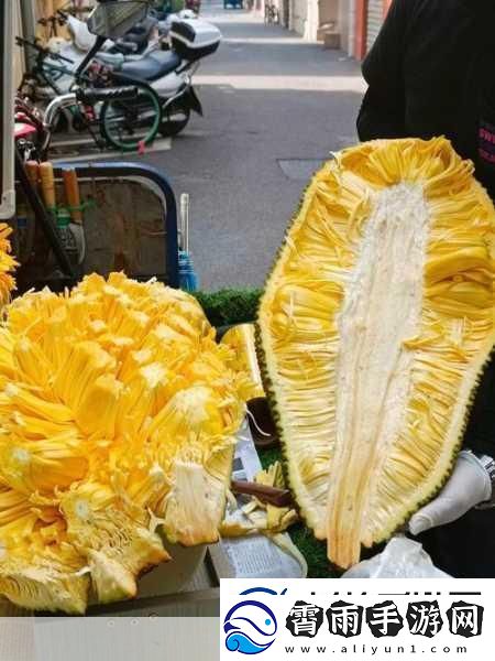 菠萝蜜视频入库