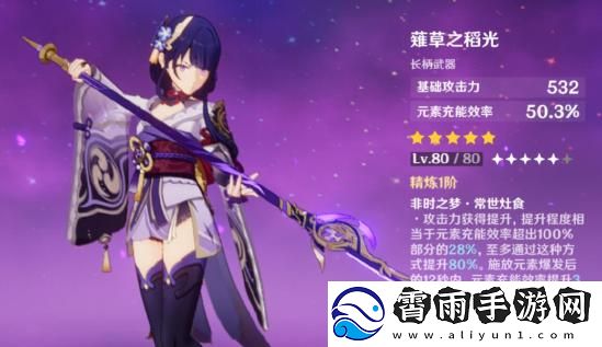 原神雷电将军配队指南
