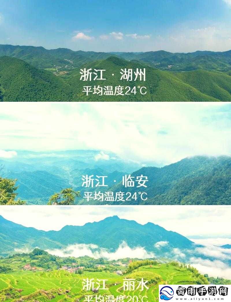 伊春园-2024-入口直达大象：全新体验开启
