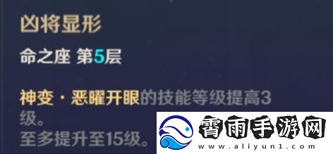 原神雷电将军配队指南