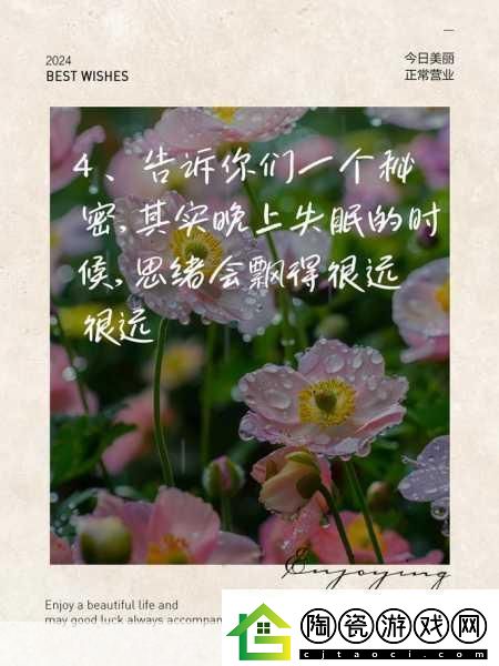 凌晨三点播放的视频叫什么：1.夜深人静时的思考：凌晨三点的视频启示