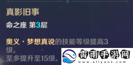 原神雷电将军配队指南