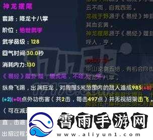 九阴真经x88888-1.-九阴真经：神秘武学的无尽传承