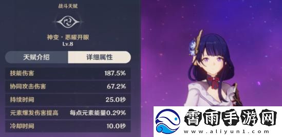 原神雷电将军配队指南