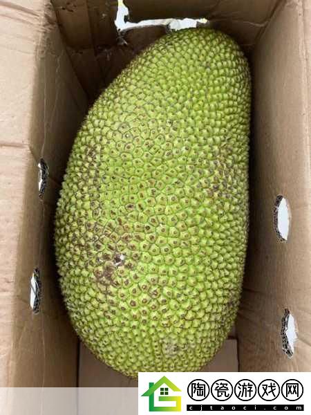 菠萝蜜一线二线三线品牌