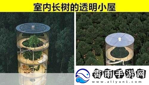 日本一卡二卡新区入口-1.-日本一卡二卡新区：畅游未来科技的乐园