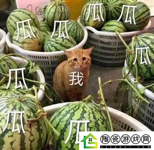 吃啥瓜-上吃瓜网就知道了