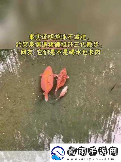 女人绝技鲤鱼喝水是什么感受：1.-女人绝技：鲤鱼喝水的深层感悟