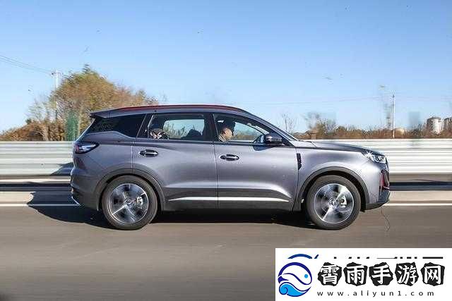 国产-SUV-精品一区二：品质与性能的完美结合