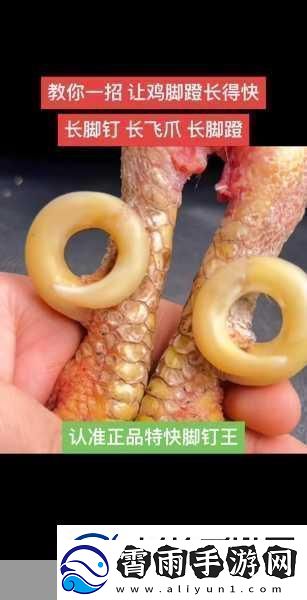 怎么能让自己的鸡变大变长1.如何科学养殖让鸡只长得更大更长