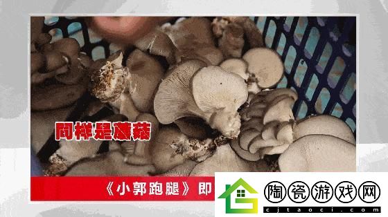 “蘑菇哥”狂潮来袭-科技圈谁与争锋！