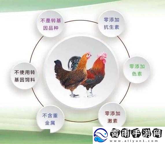 人与畜禽共性关系的重要性：探寻和谐共生之路