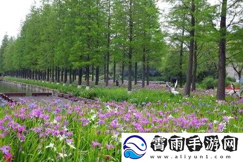 国精产品一区一区三区免费视频：打造极致视觉盛宴