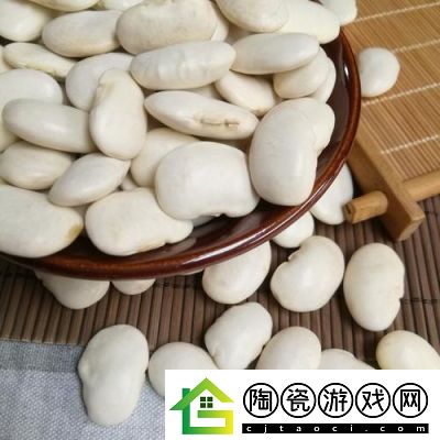 煮豆智慧园