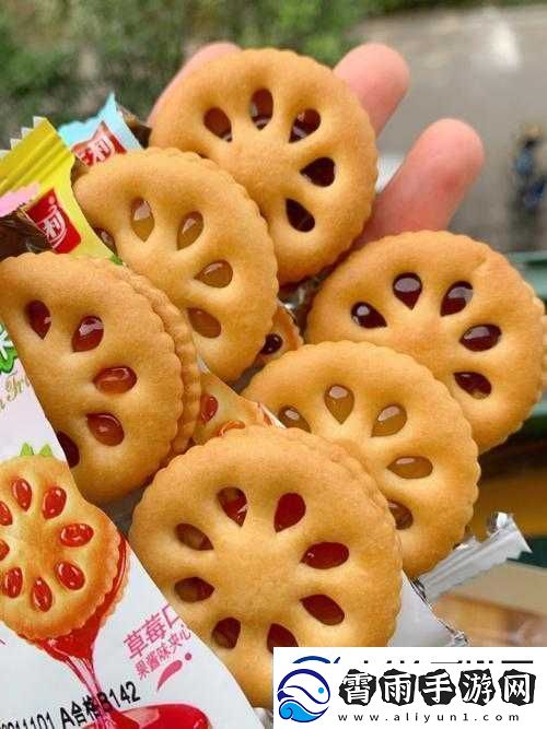 祝家兄弟夹心饼干：美味与快乐的融合