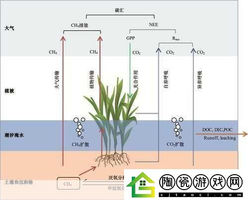 干湿你