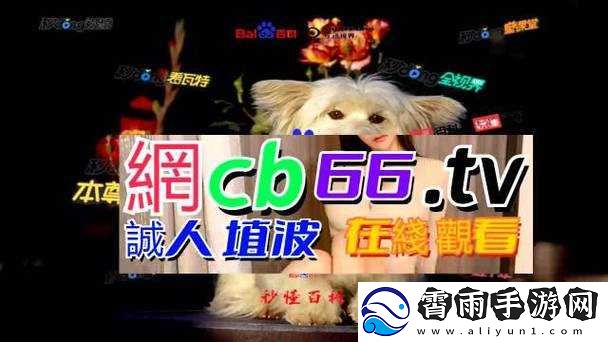 成品源码