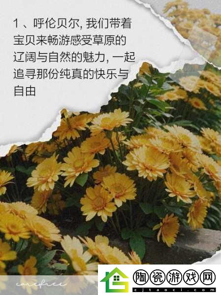 一起草国：1.-草原之梦：国土扩展的新篇章
