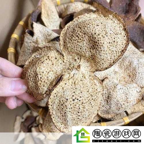 问题解决