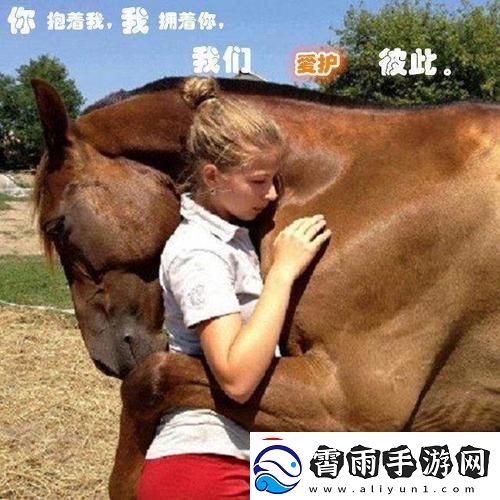 游戏界的新星