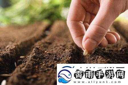 耕种妈妈肥沃的土地：一段独特的田园经历
