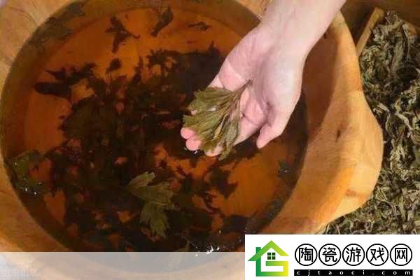 扦插BB有什么好处