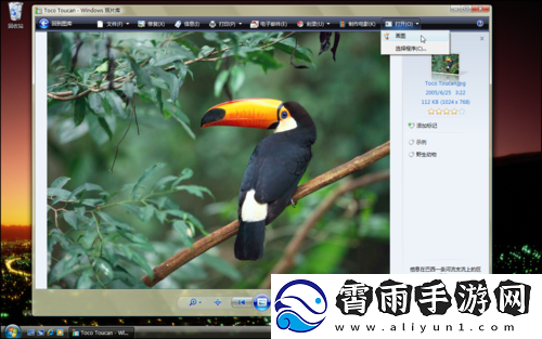 中国高清-Windows-视频软件：全新体验之旅