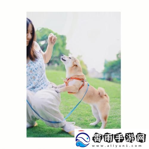 狗儿大变身-江湖新秀崛起记