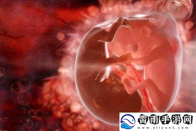 共生双胞胎：生命相依的奇迹