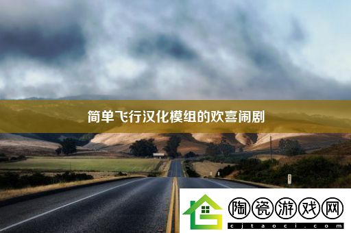 简单飞行汉化模组的欢喜闹剧