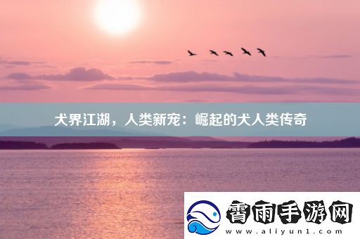 犬界江湖人类新宠