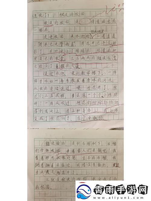 换母荡元宵