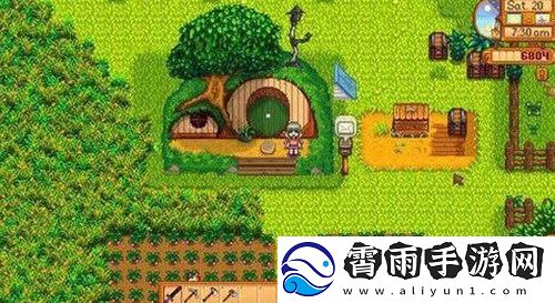 星露谷物语海莉出轨怎么办