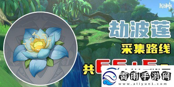 原神劫波莲采集位置分享
