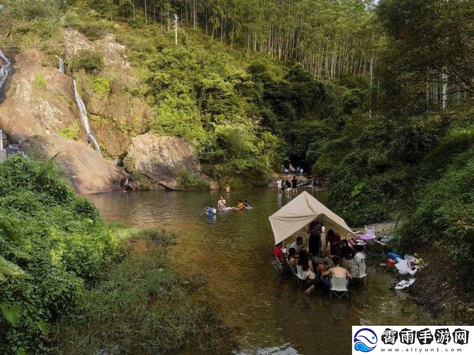 四川-BB-站入口在哪：探寻其具体位置