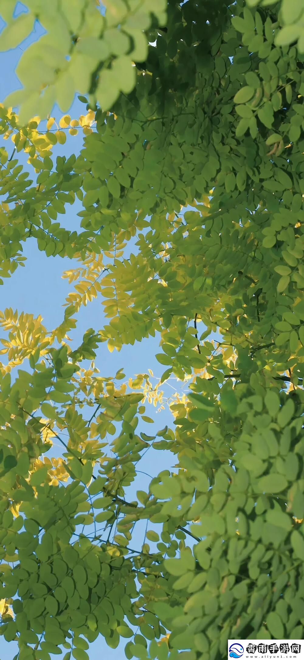 “哇这不是传说中的WallpaperEngine手机版吗”