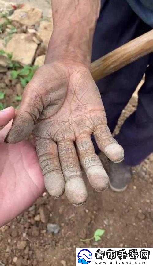 一双大手：粗糙的纹理-诉说着生活的艰辛